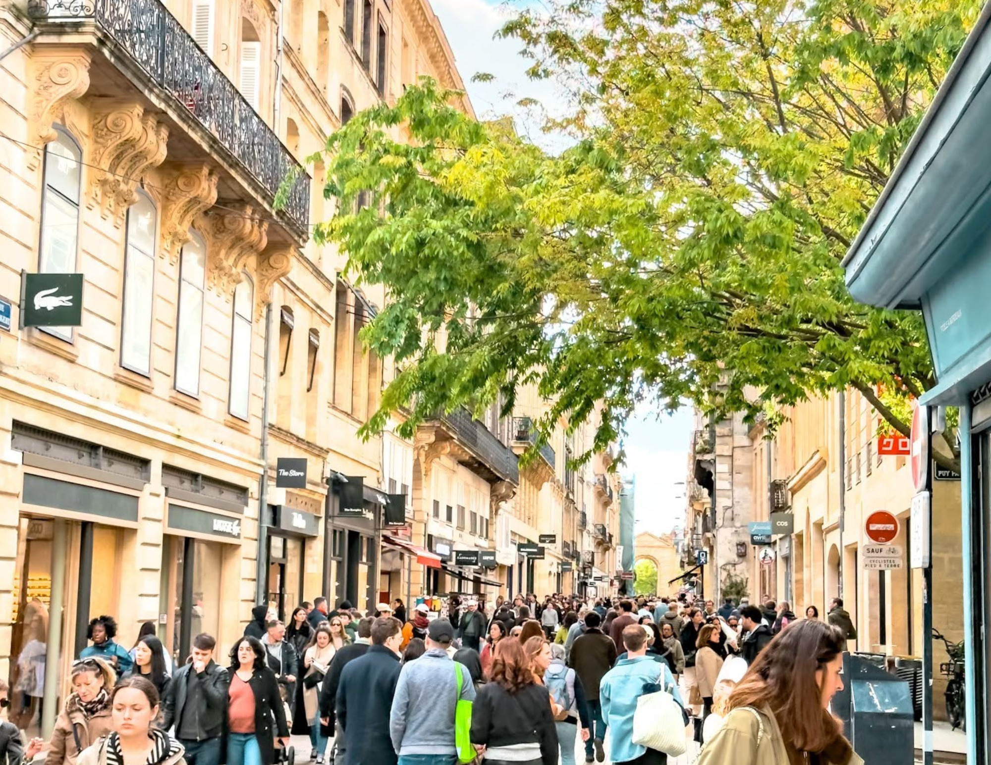 Best Things to Do in Bordeaux France (5).png